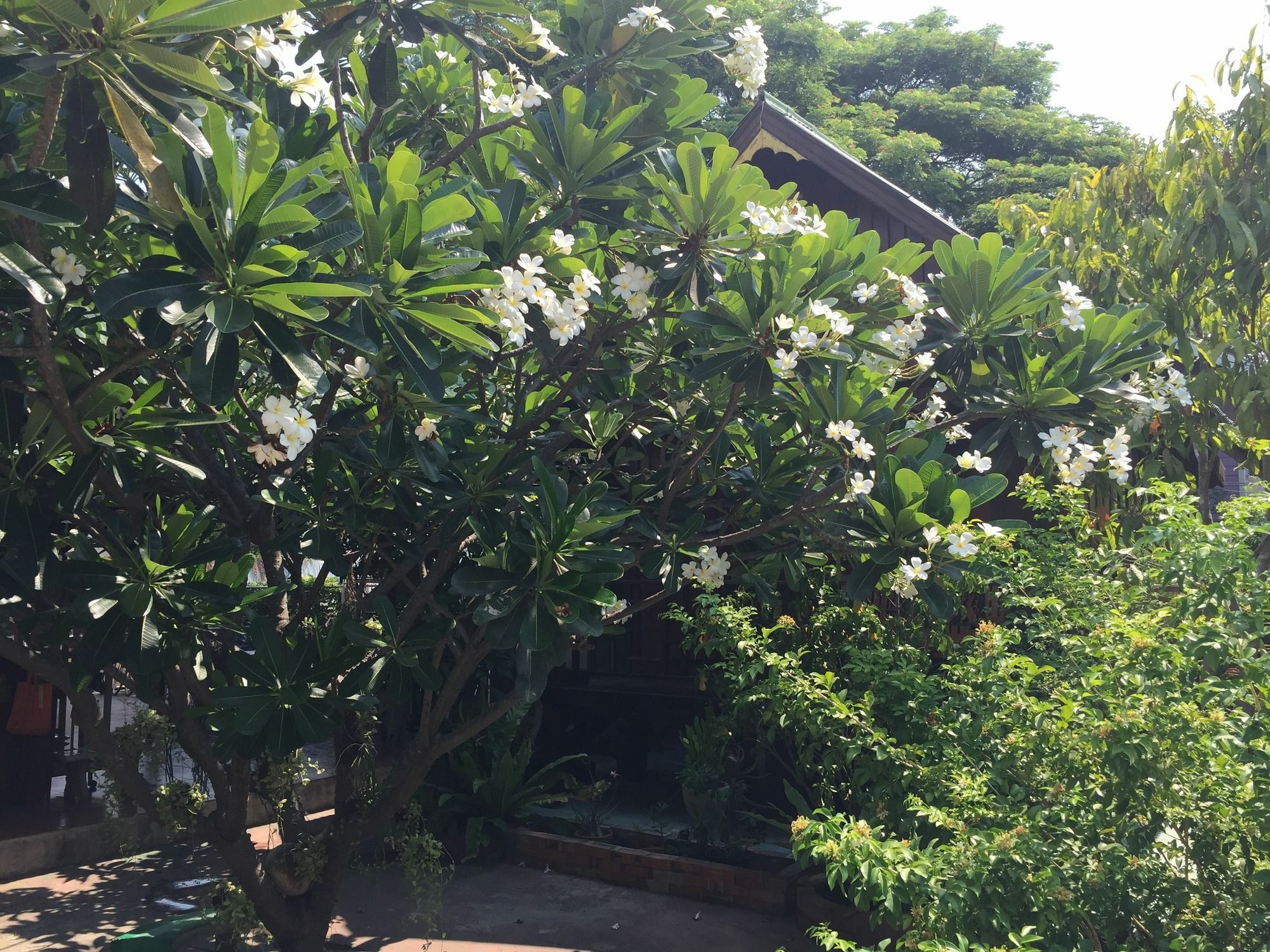 Baan Kong Homestay Пра Након Си Аютая Екстериор снимка
